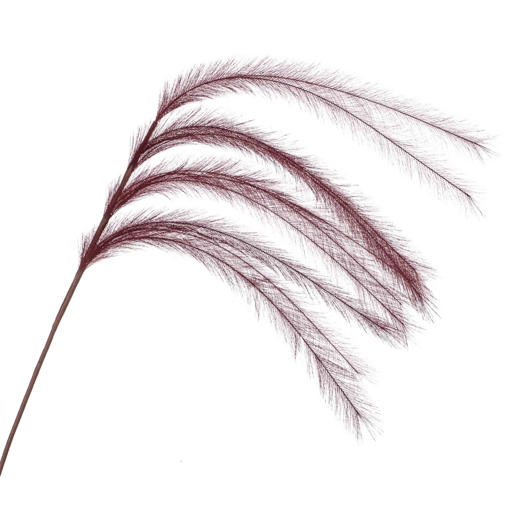 Woonexpress Feather
