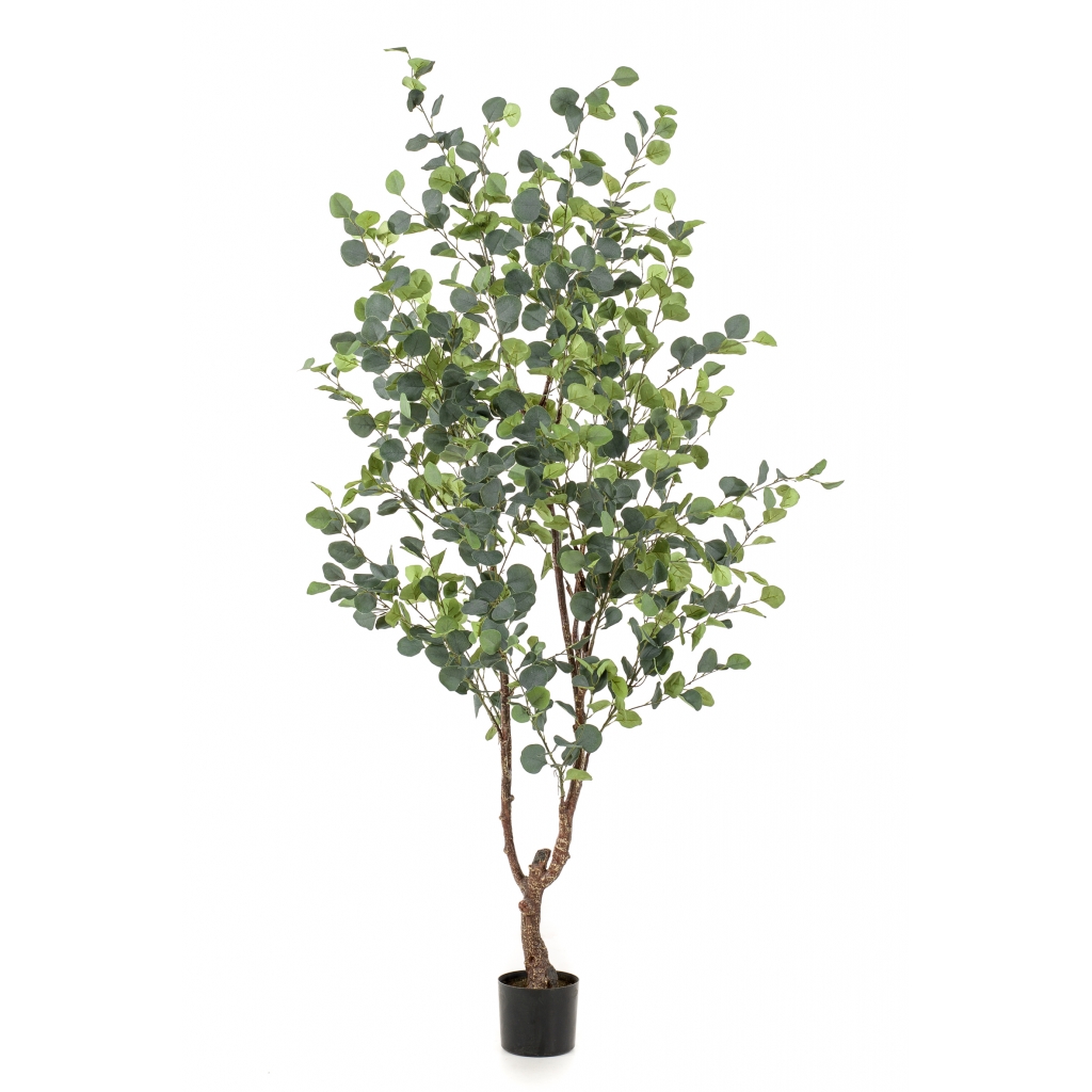 Kunstplant Eucalypthus Groen - hoog cm 180