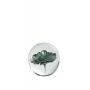 Light & Living Deco Beeld Flower Groen - 8 cm hoog - Afbeelding 1