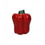 Vaas Bell Pepper Rood - 12 cm hoog - Afbeelding 1