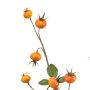 Kunsttak Rosehip Spray Oker - 78 cm - Afbeelding 3