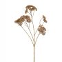 Kunstbloem Achillea Spray Bruin - 72 cm - Afbeelding 1