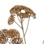 Kunstbloem Achillea Spray Bruin - 72 cm - Afbeelding 2