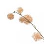 Kunstbloem Thistle Spray Beige - 85 cm - Afbeelding 2