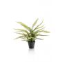 Kunstplant Boston Fern Groen - Afbeelding 1