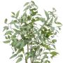 Kunstplant Eucalyptus Groen - 150 cm hoog - Afbeelding 6