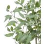 Kunstplant Eucalyptus Groen - 150 cm hoog - Afbeelding 5