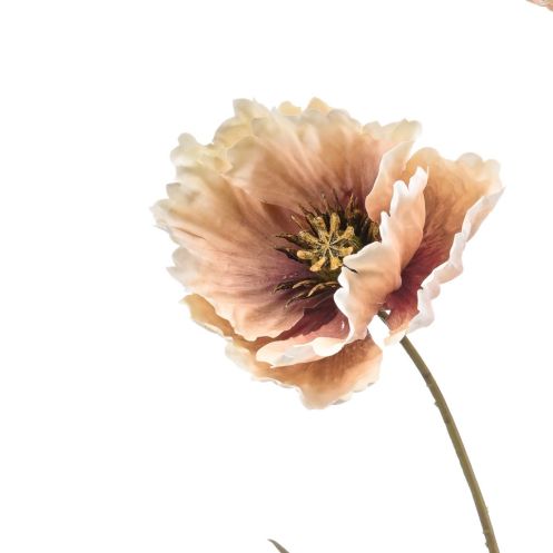 Kunstbloem Poppy Spray Beige - 68 cm - Afbeelding 2