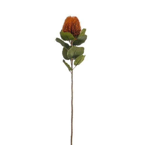 Kunstbloem Banksia Spray Oranje - 57 cm - Afbeelding 1