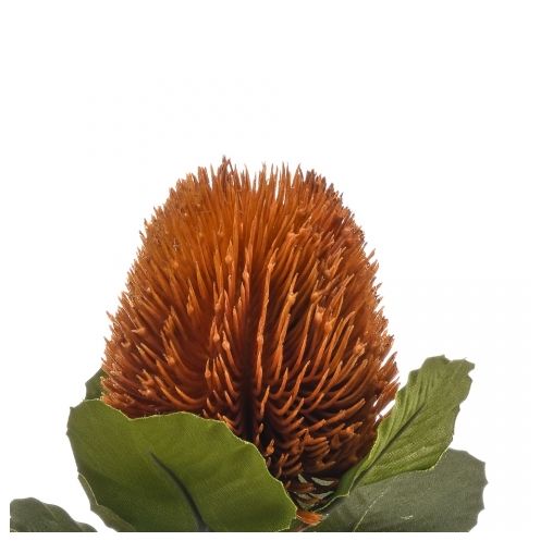 Kunstbloem Banksia Spray Oranje - 57 cm - Afbeelding 2