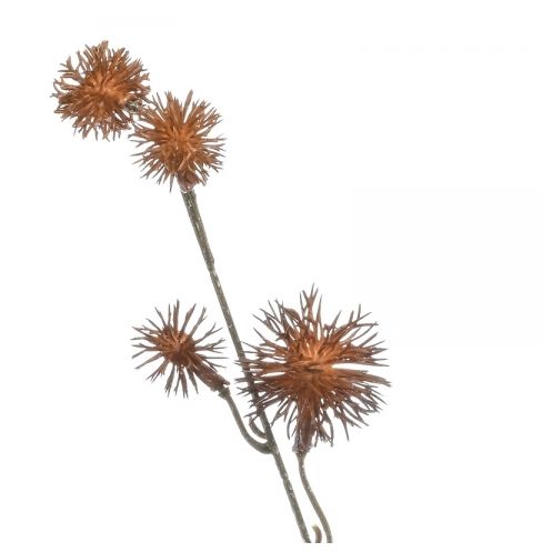 Kunstbloem Thistle Spray Bruin - 85 cm - Afbeelding 2