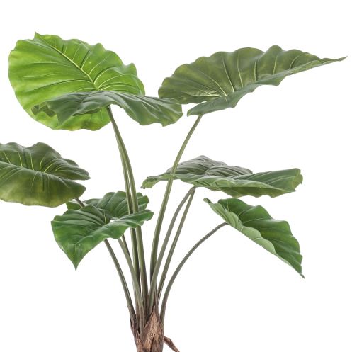 Kunstplant Alocasia Groen - 70 cm hoog - Afbeelding 2