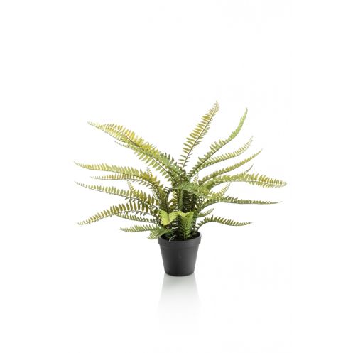 Kunstplant Boston Fern Groen - Afbeelding 1