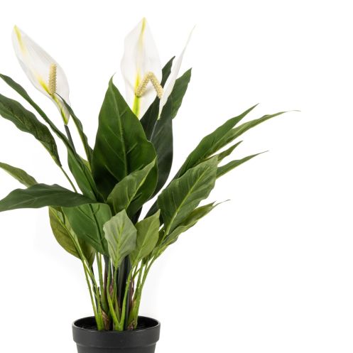 Kunstplant Spathiphyllum Groen - 53 cm hoog - Afbeelding 2