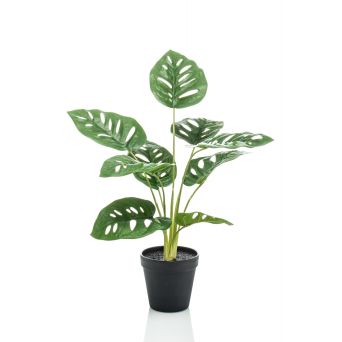 Kunstplant Monstera Monkey Groen - 43 cm hoog - Afbeelding 1
