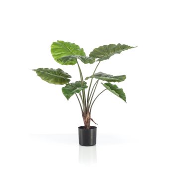 Kunstplant Alocasia Groen - 70 cm hoog - Afbeelding 1