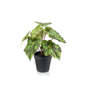 Kunstplant Begonia Groen - Afbeelding 1