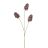 Kunstbloem Scabiosa Spray Lila - 87 cm - Afbeelding 1