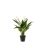 Kunstplant Spathiphyllum Groen - 53 cm hoog - Afbeelding 1