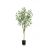 Kunstplant Eucalyptus Groen - 150 cm hoog - Afbeelding 1